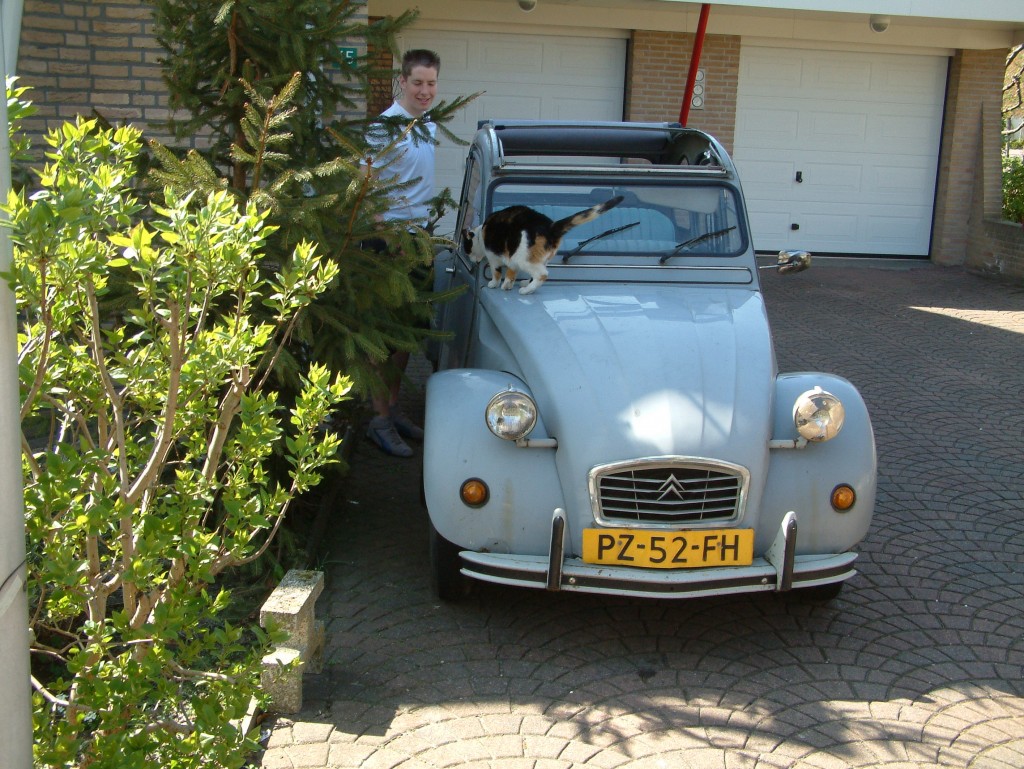 Donoreend1